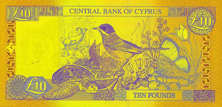 10 Cyprus pound banknote backside 10 Cyprus pound banknote backside