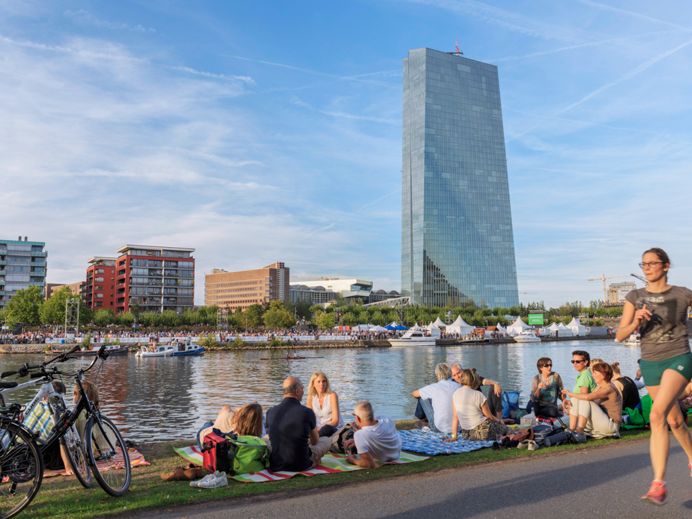 What is the European Central Bank?