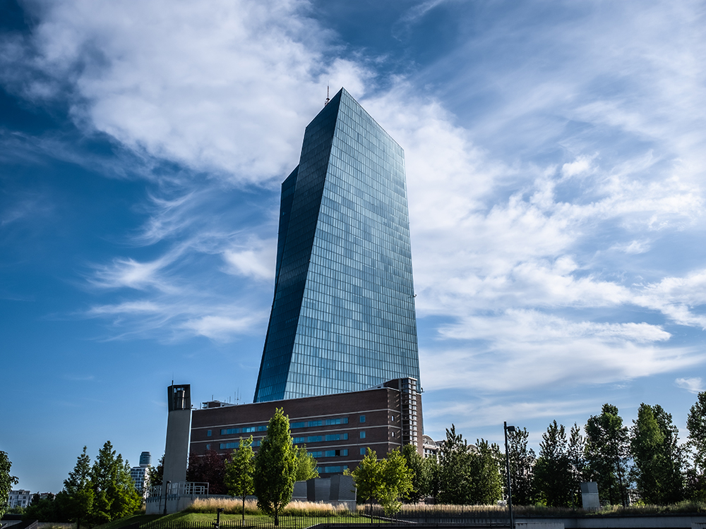 Who owns the ECB?