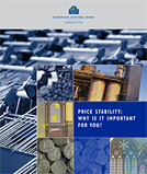 The European Central Bank, the Eurosystem, the European System of Central Banks (Edition 2011)